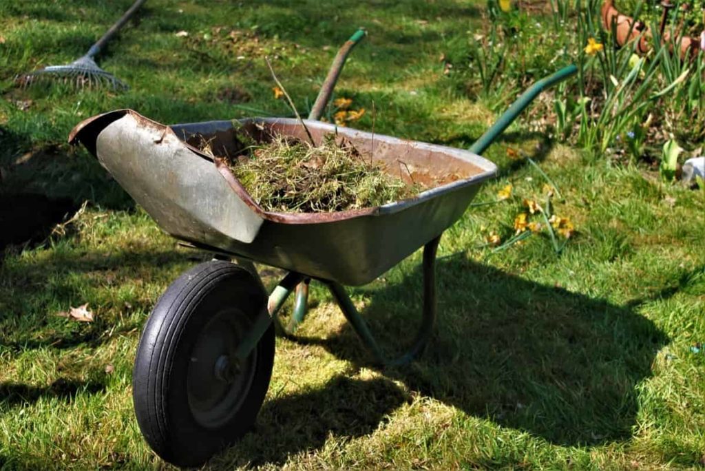 How to Sharpen Garden Tools