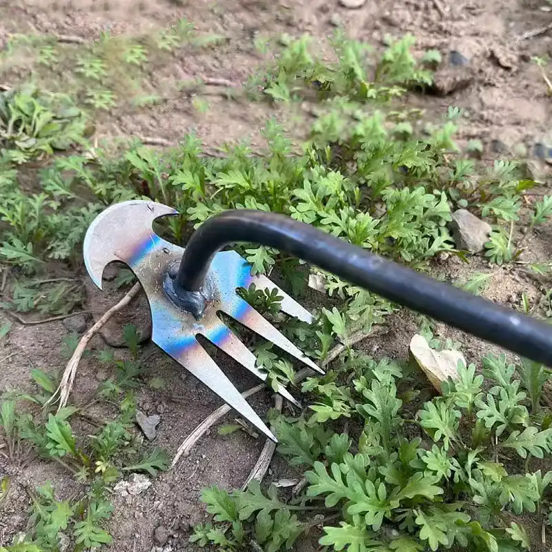 weeding tool for garden