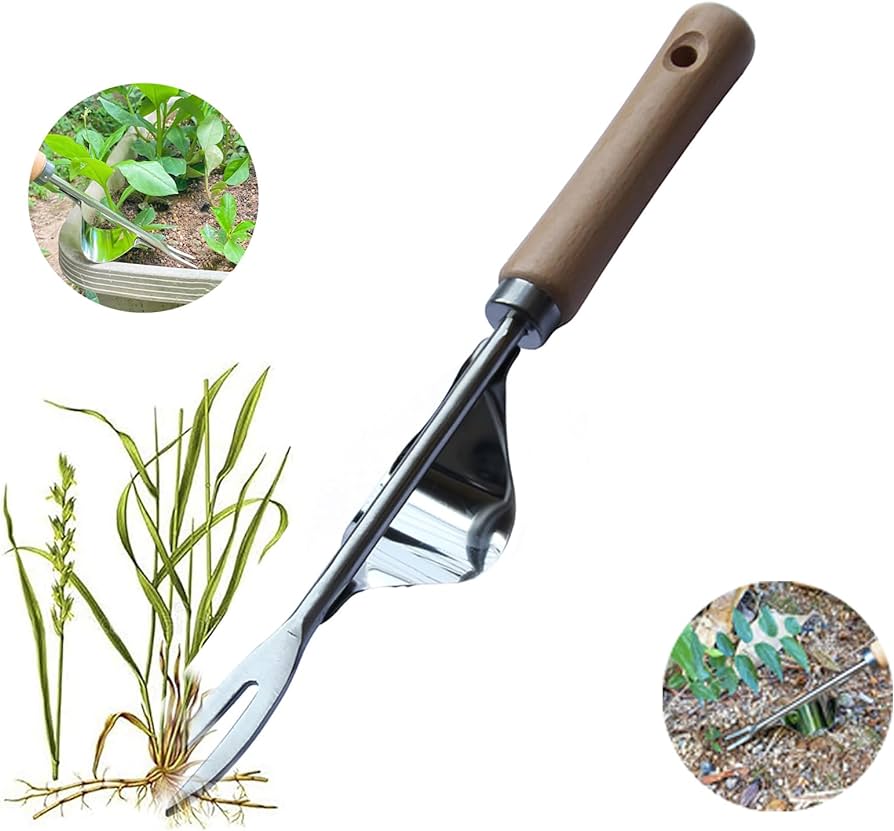 Hand Weeder Tool