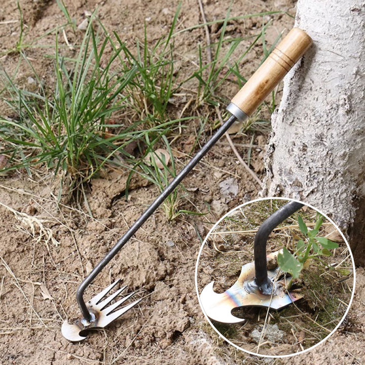 Hand Weeder Tool