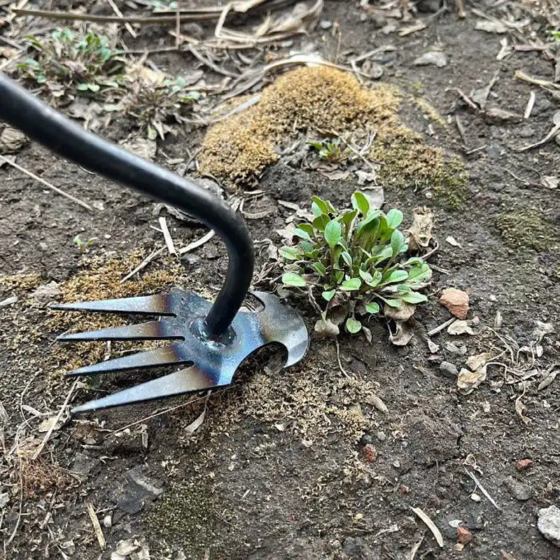 Hand Weeding Tool