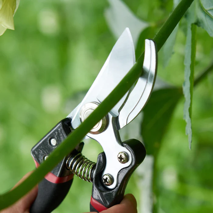 yard clippers