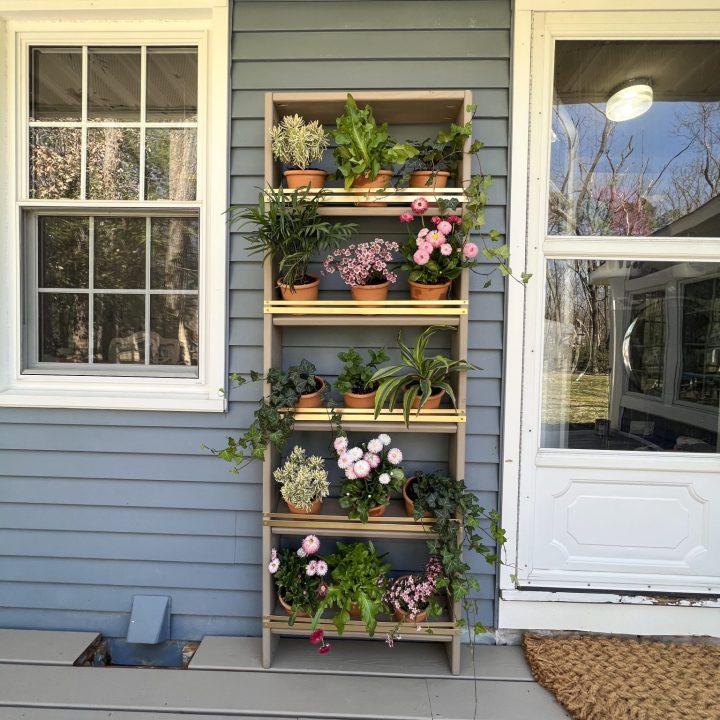 garden Shelves