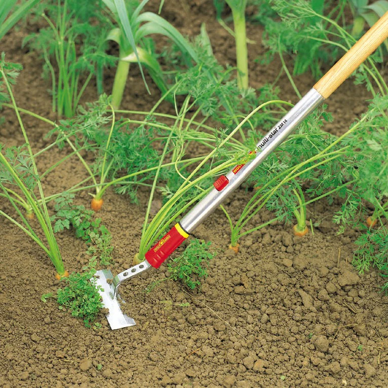 Weeder Tools