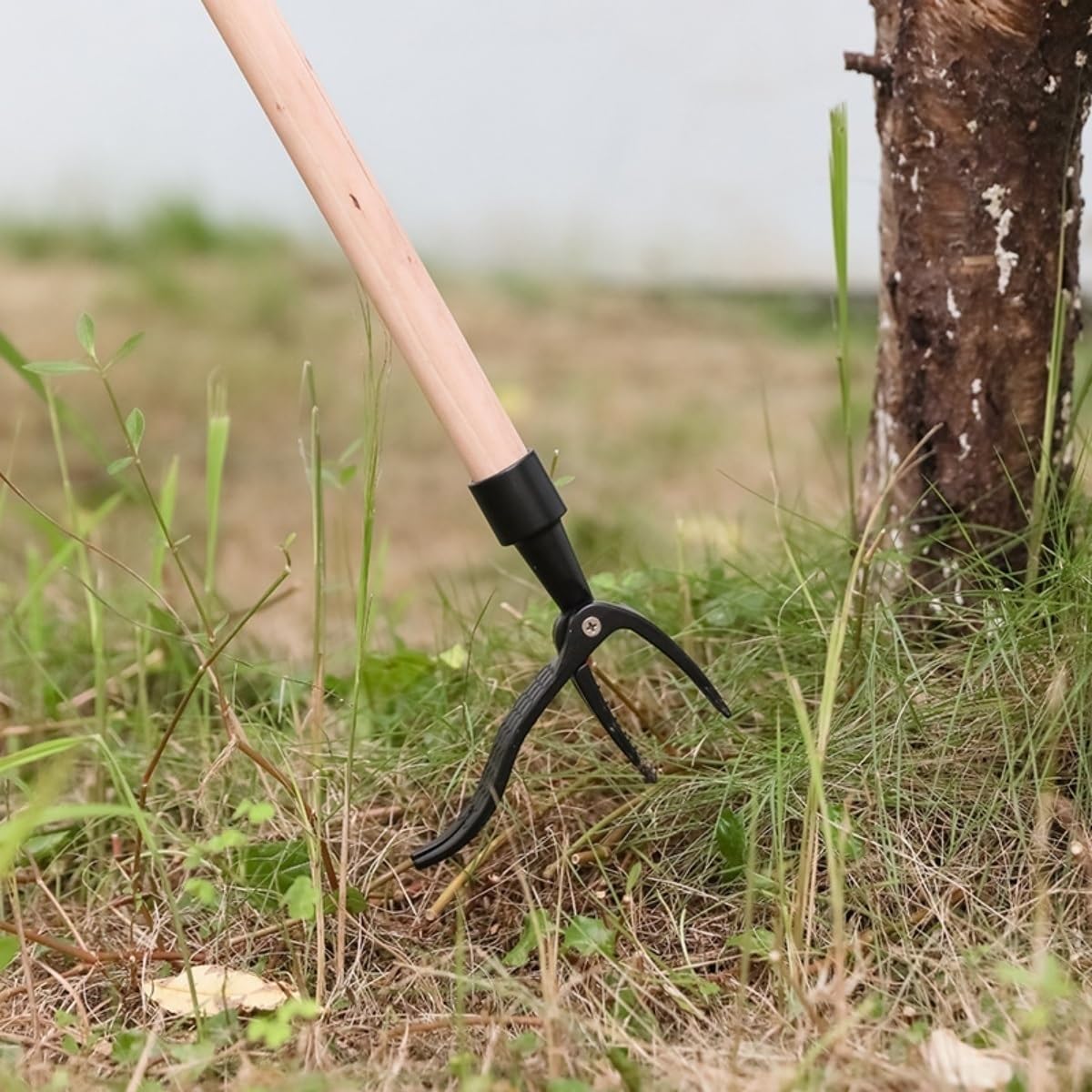 Weeder Tools